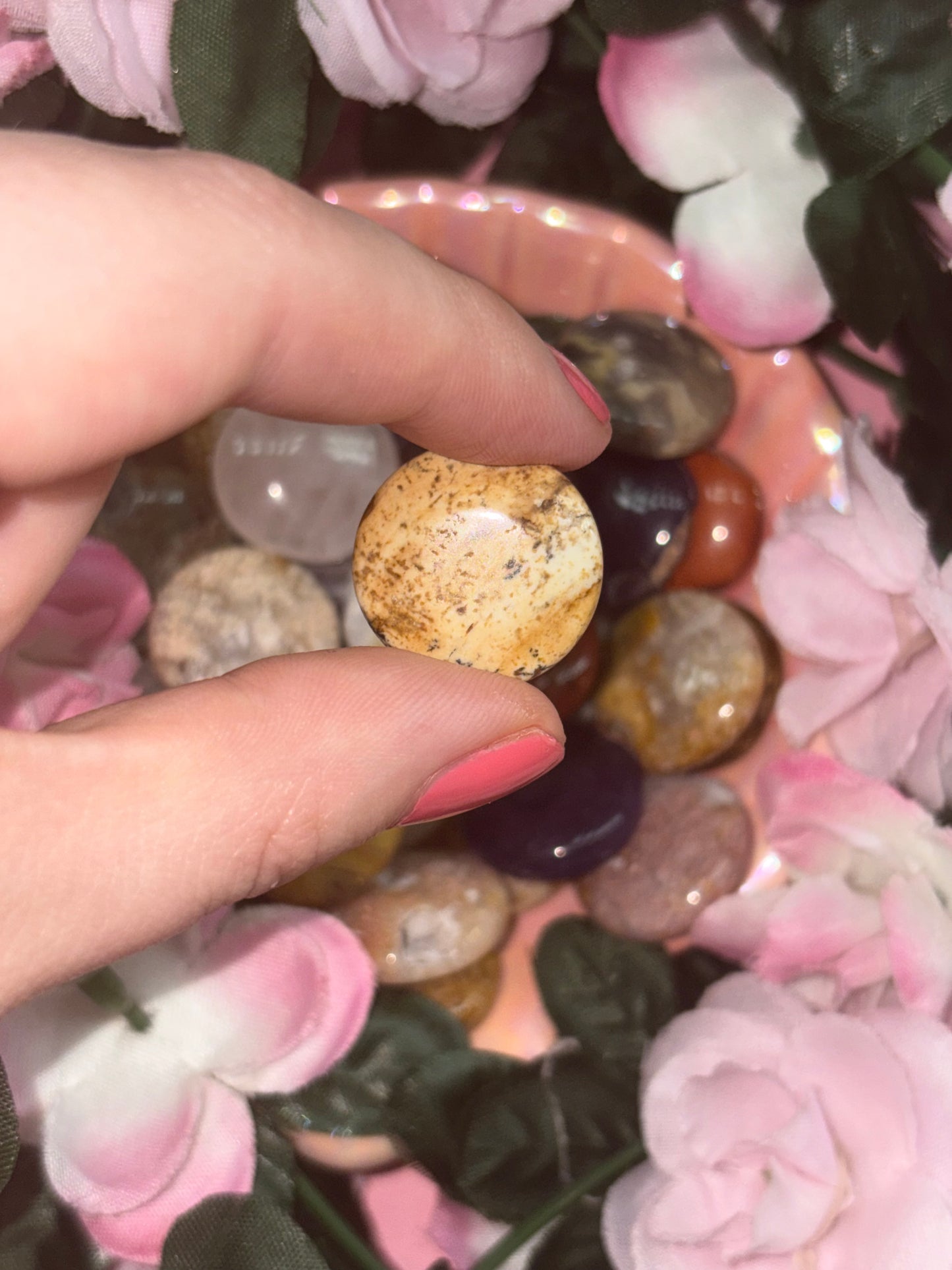 Picture Jasper Mini Palm Stone