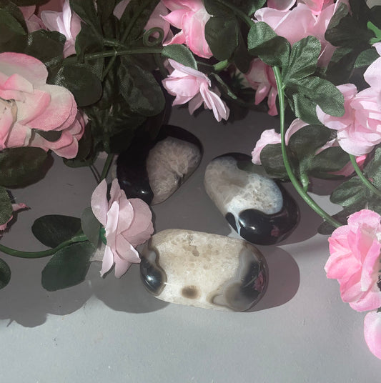 Black Sardonyx Agate Palm Stones With Natural Druzy