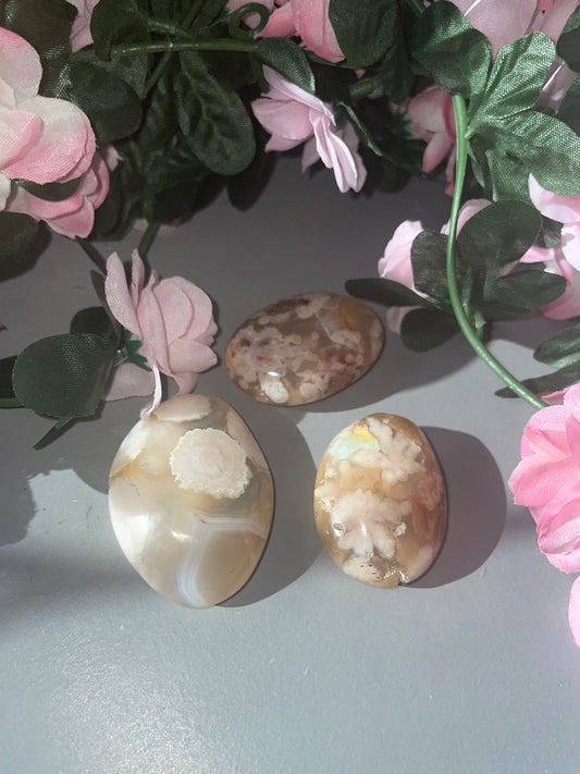 Flower Agate Palm Stone From Madagascar