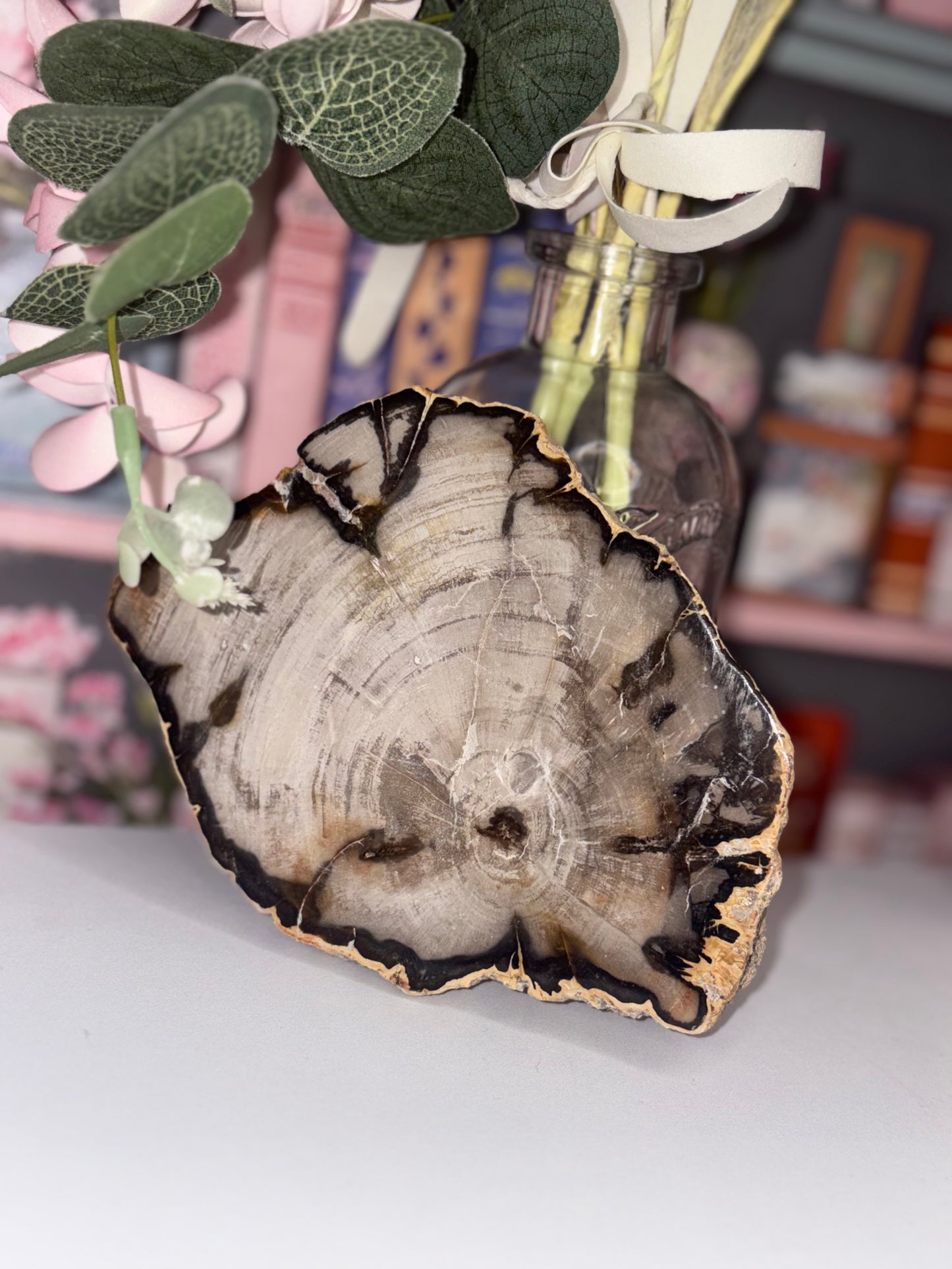 Fossil Wood Slab