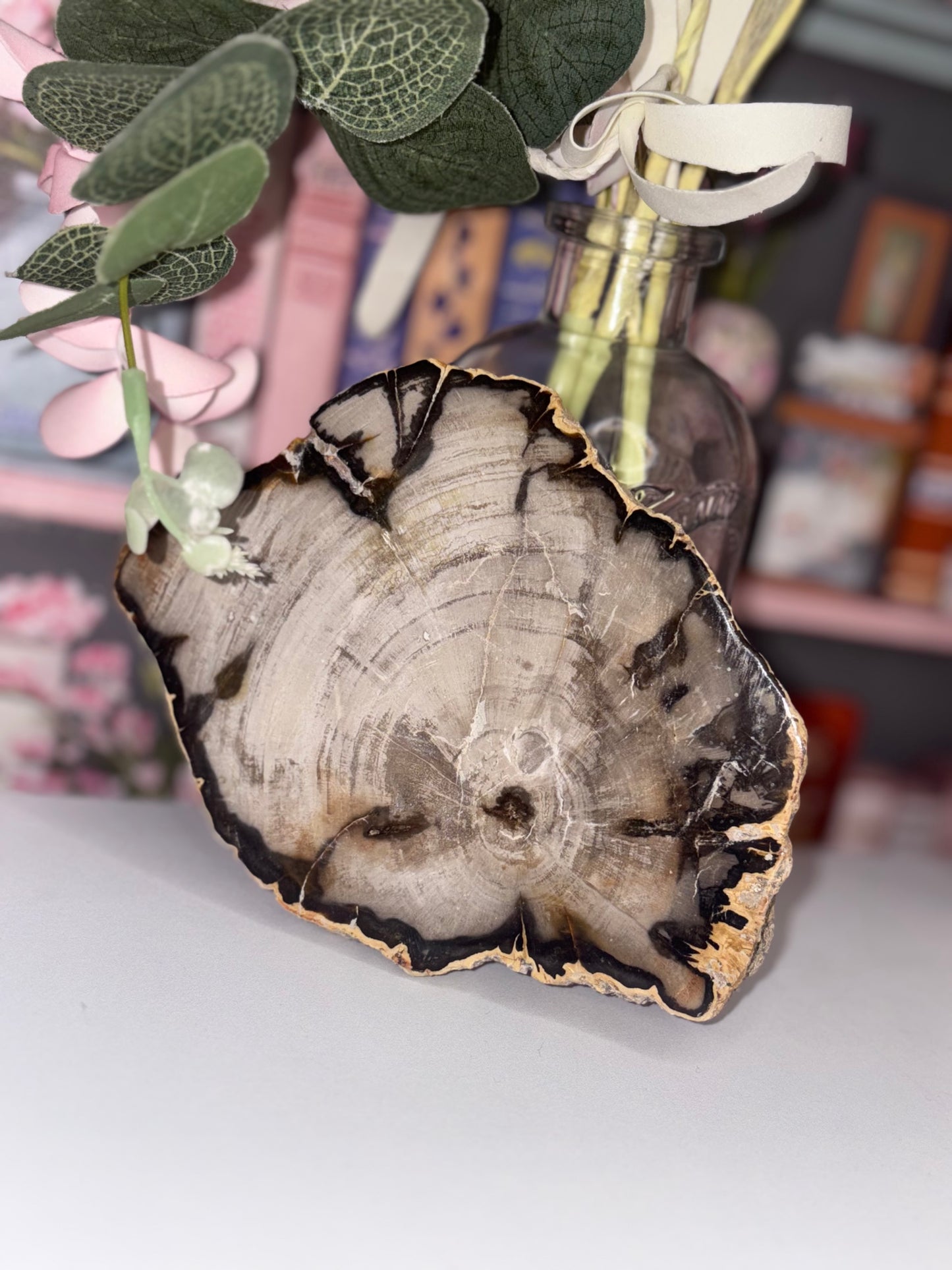 Fossil Wood Slab