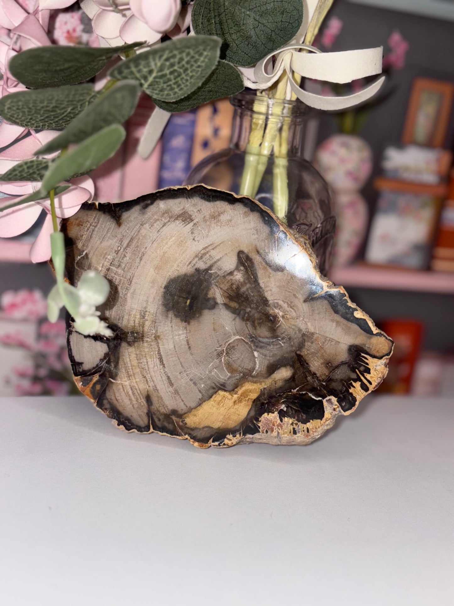 Fossil Wood Slab
