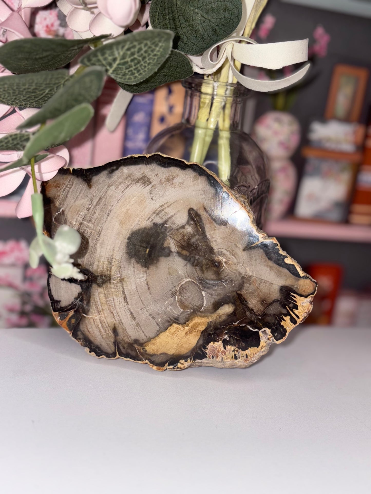 Fossil Wood Slab