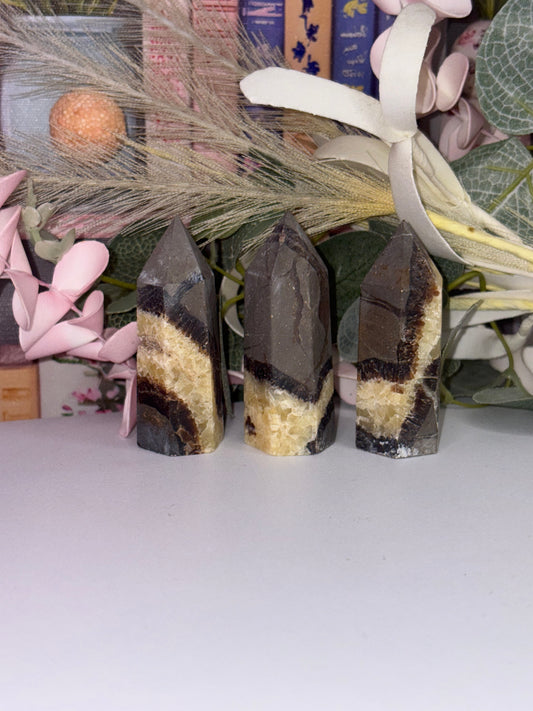Septarian Towers From Madagascar