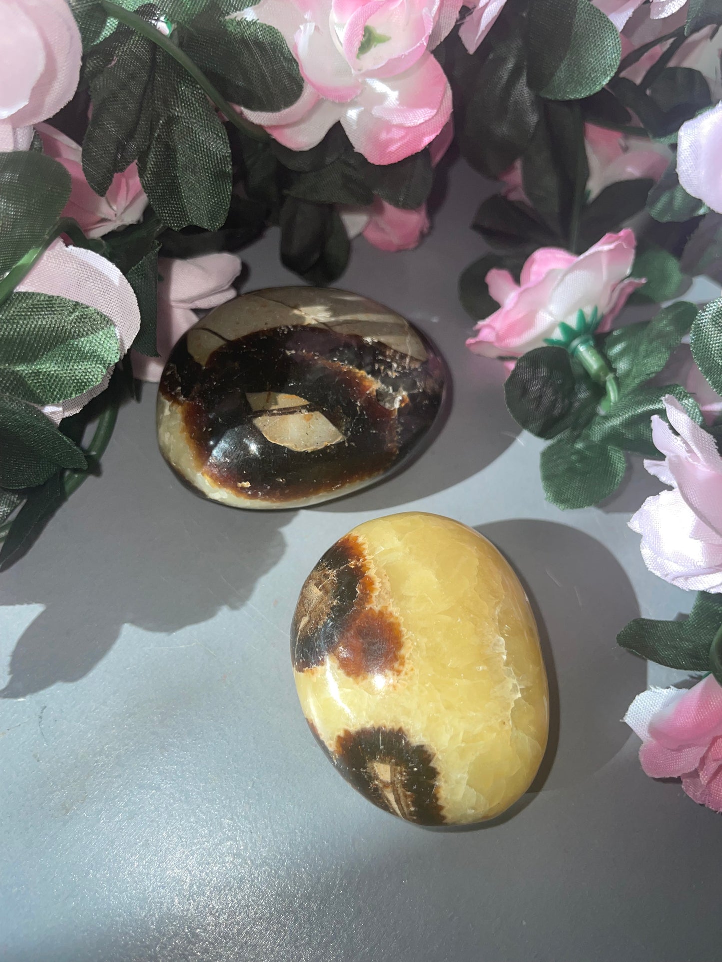 Septarian Palm Stone