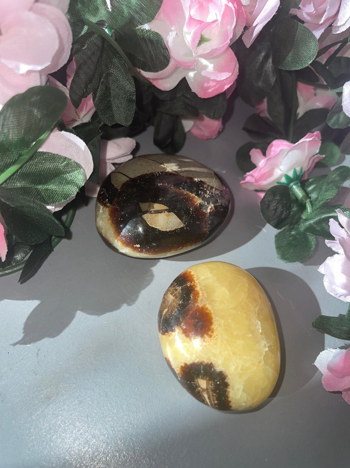 Septarian Palm Stone