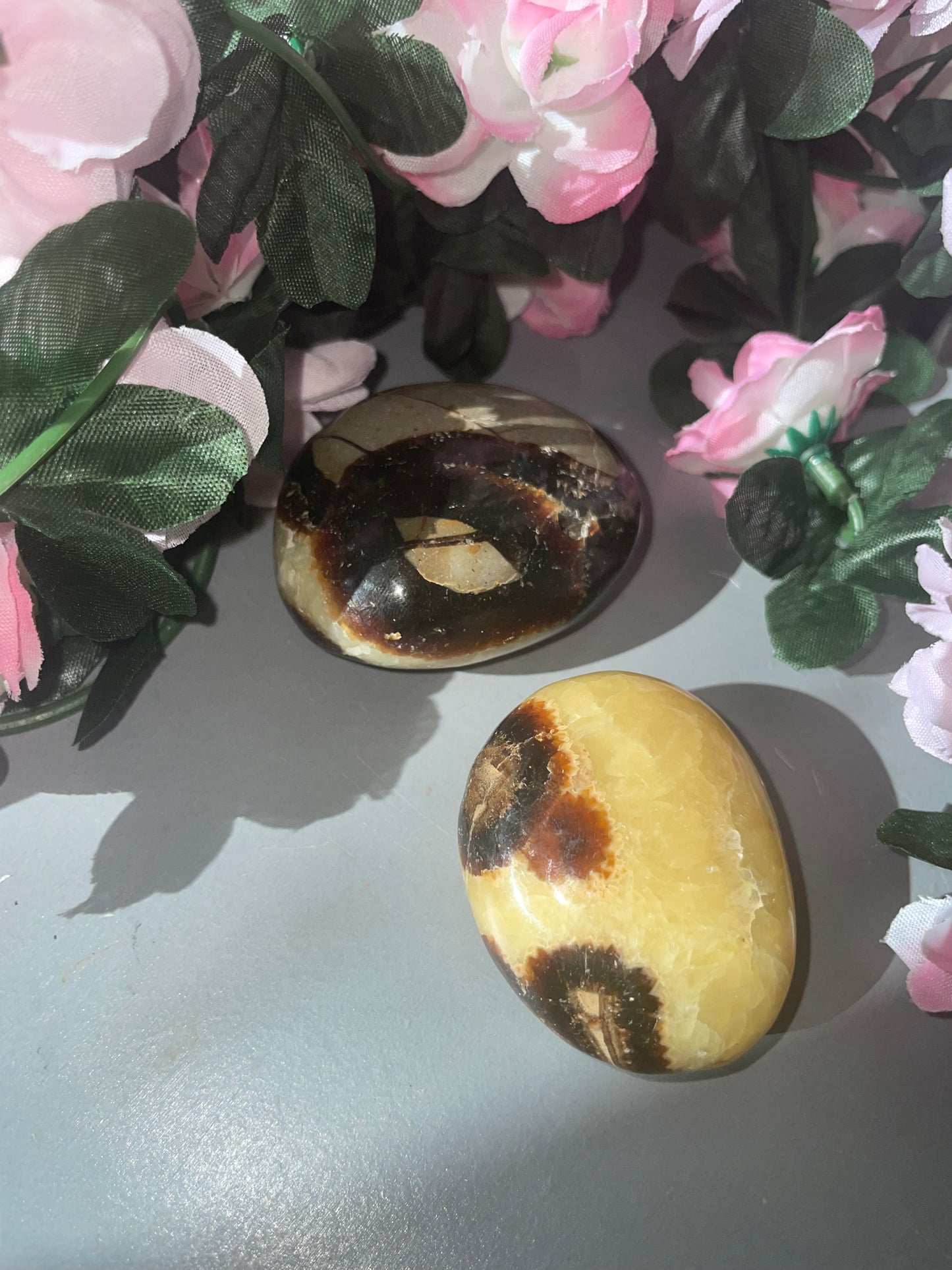 Septarian Palm Stone