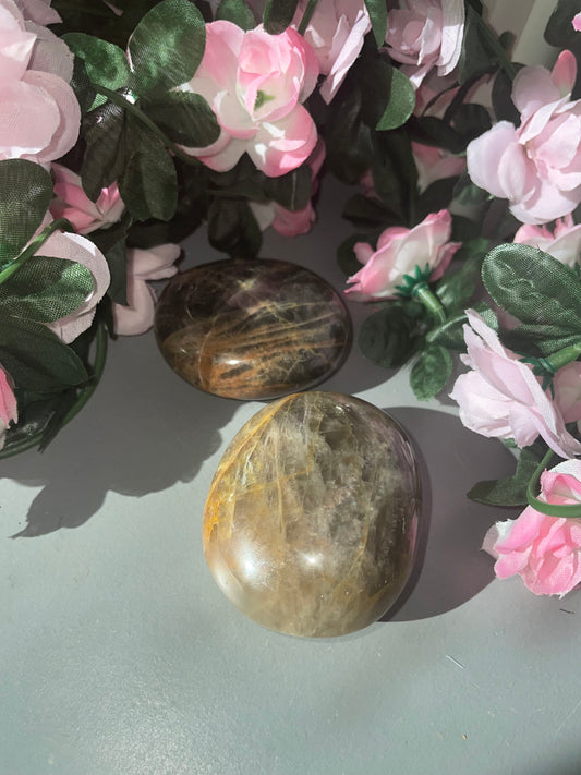 Black Moonstone Palm Stone