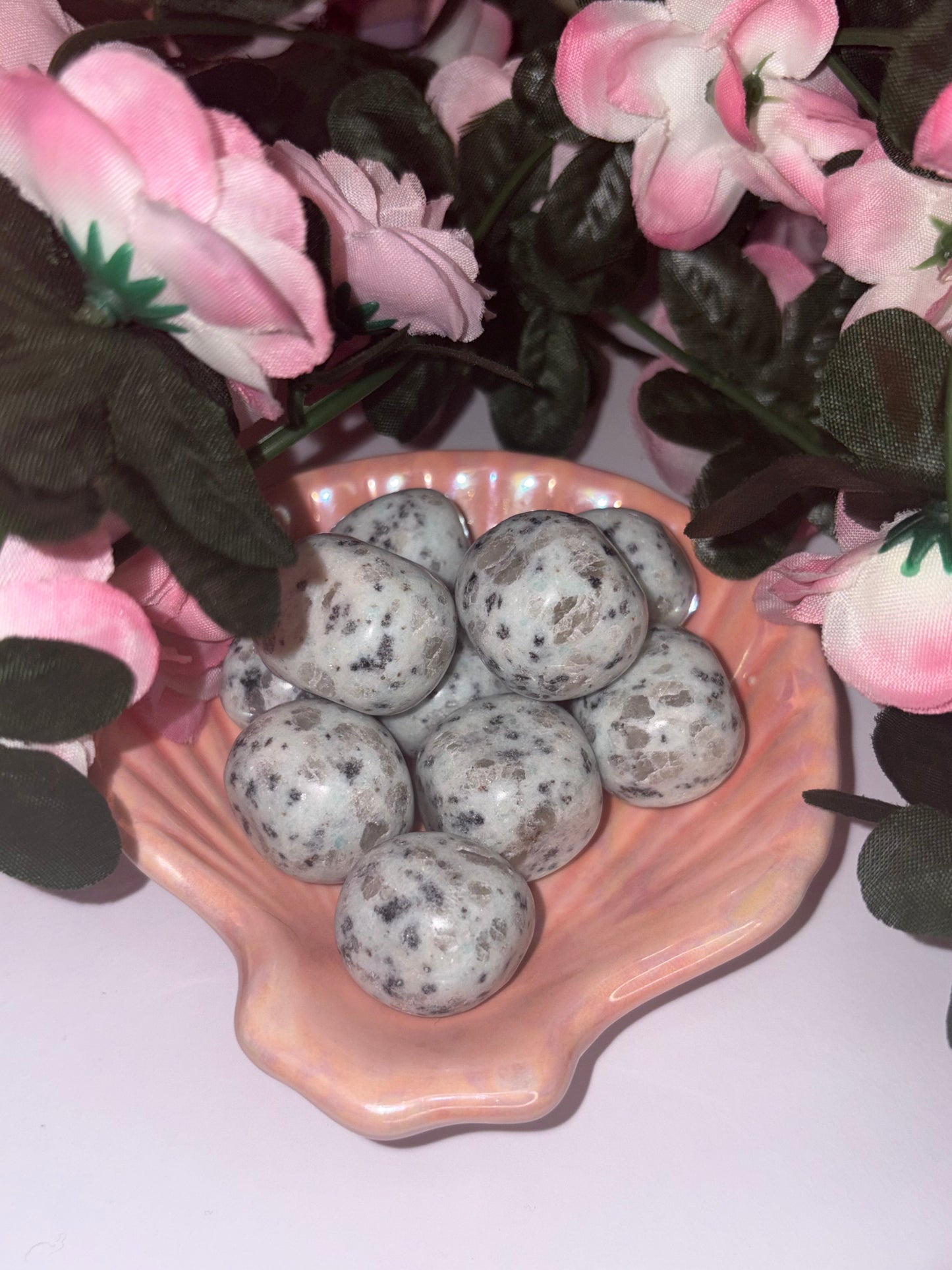 Kiwi Jasper Tumble