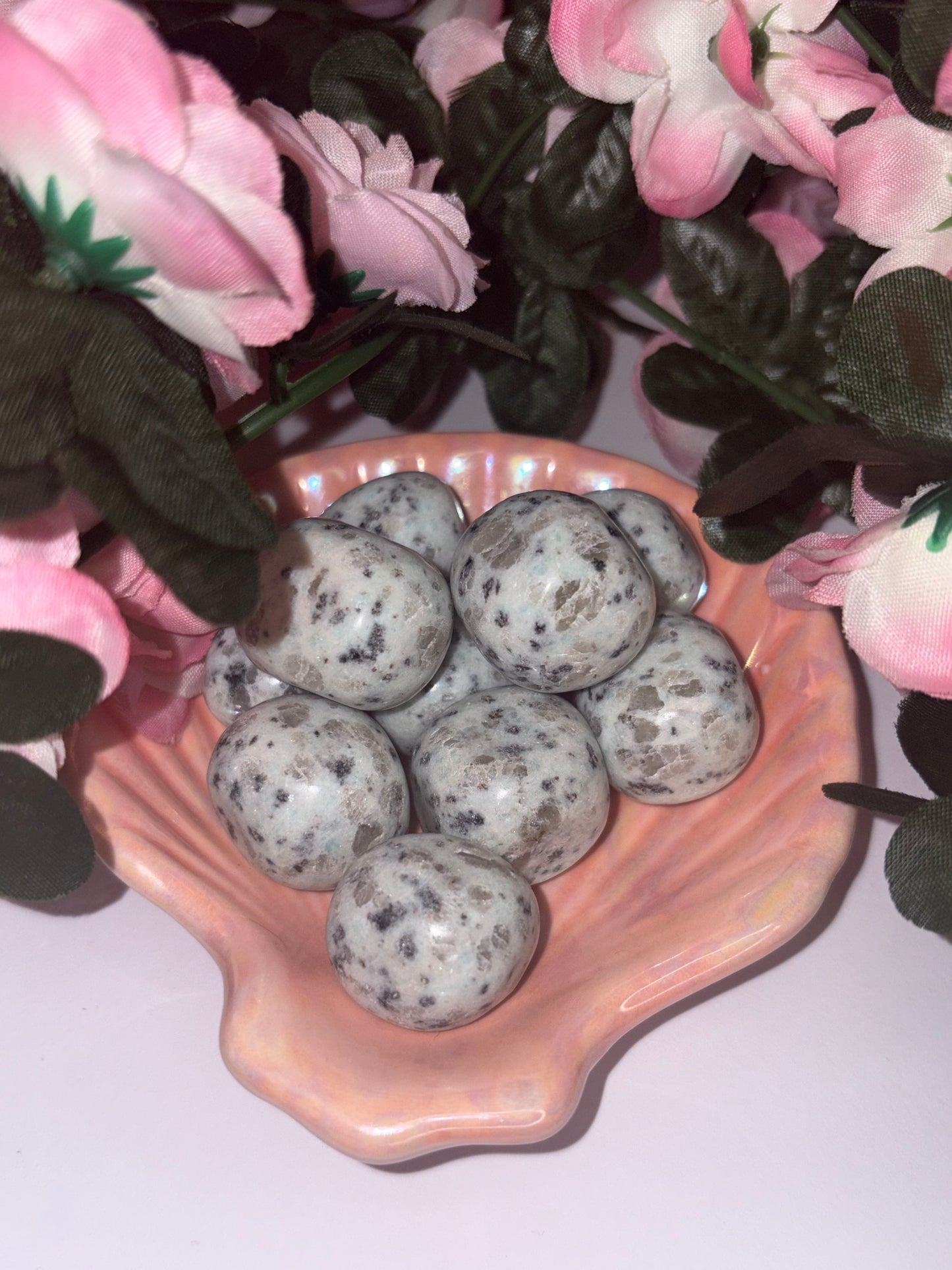 Kiwi Jasper Tumble