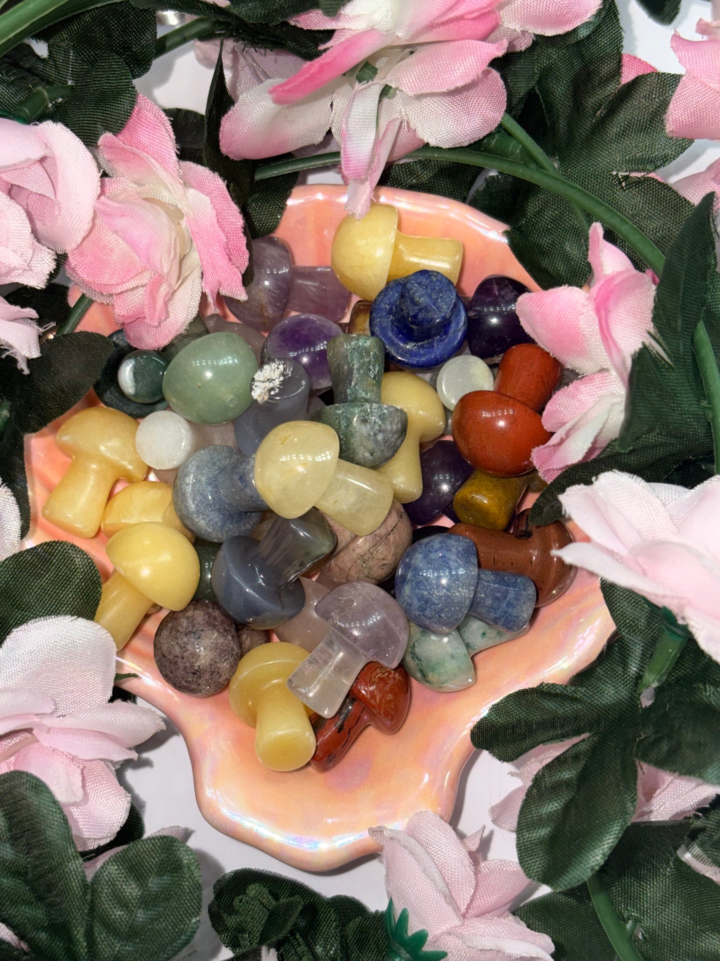 Mystery Mini Mushrooms