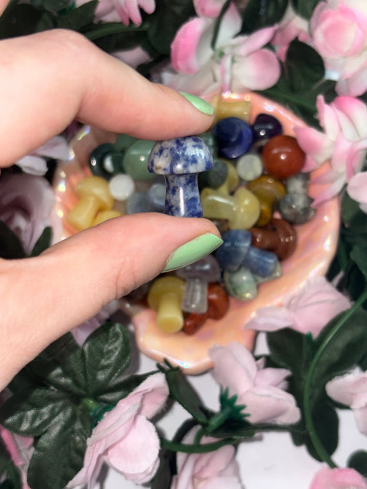 Mini Sodalite Mushroom
