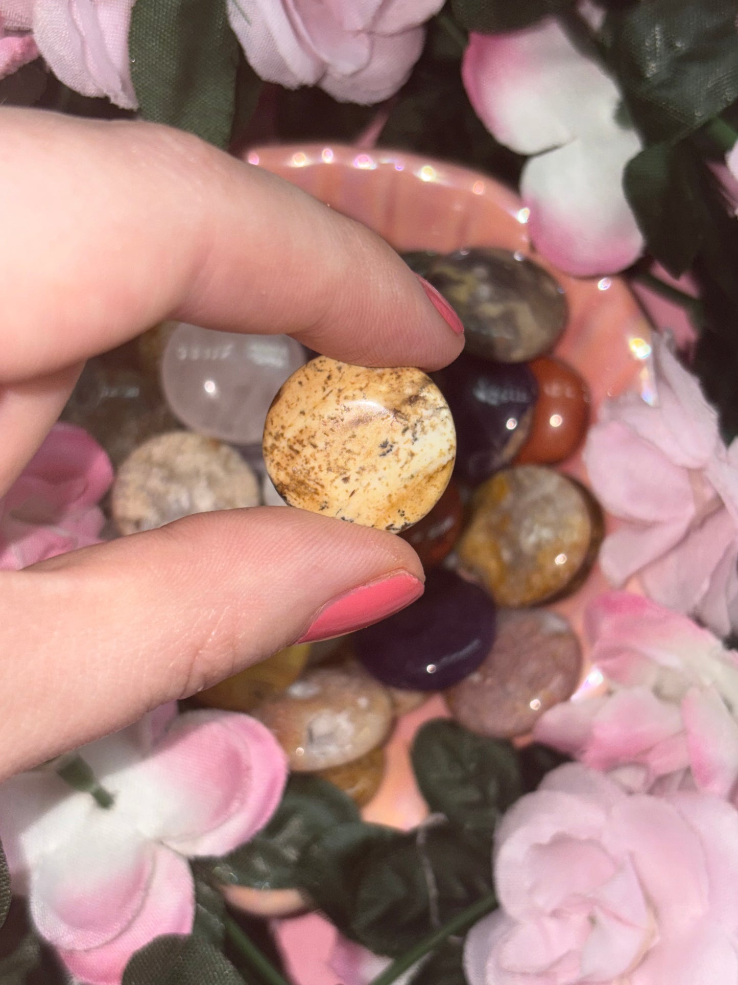 Picture Jasper Mini Palm Stone