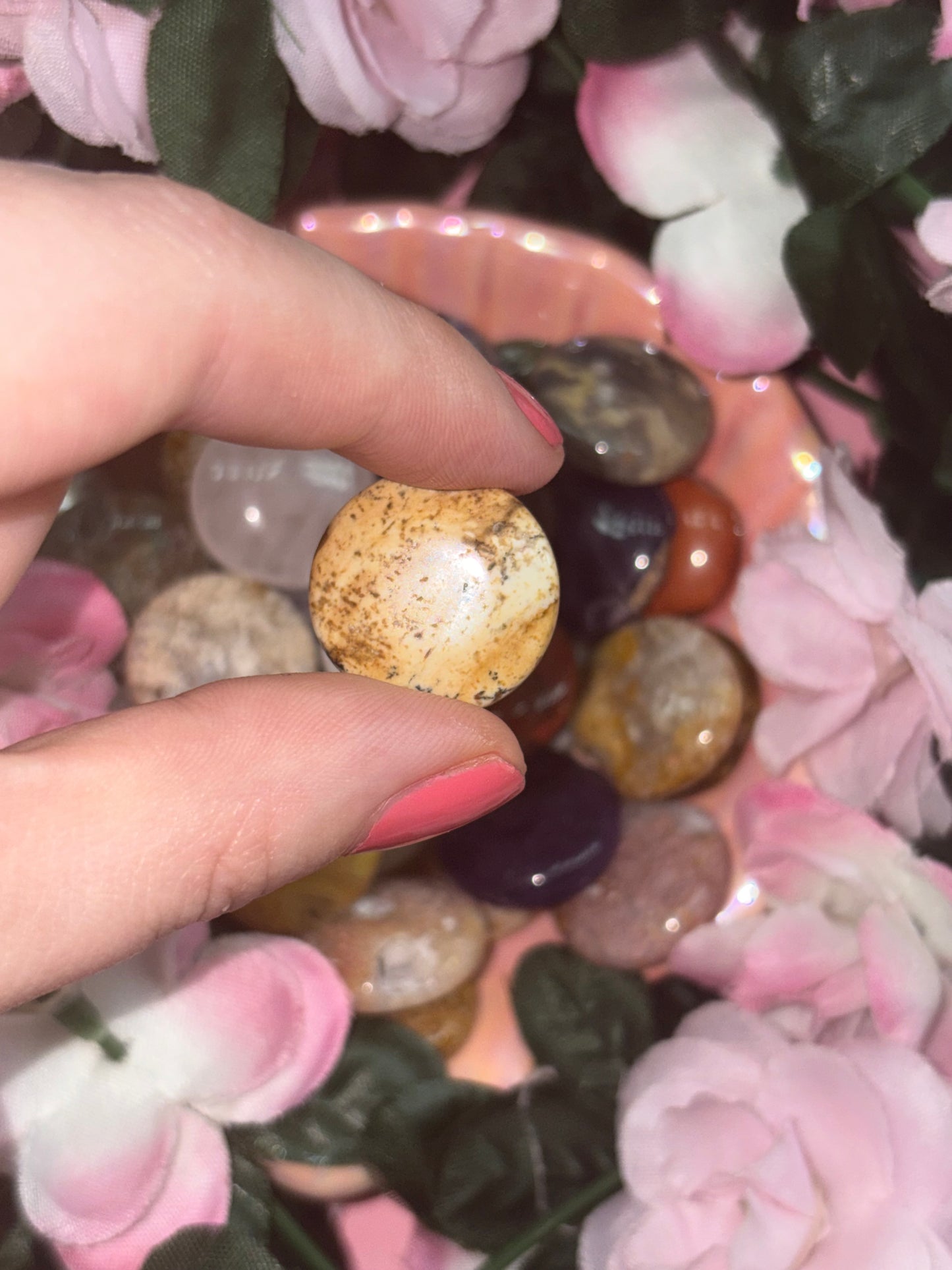Picture Jasper Mini Palm Stone