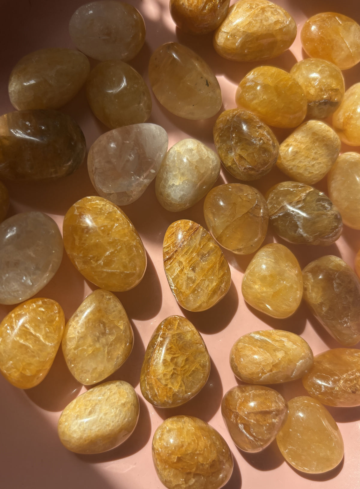 Golden Healer Tumbles