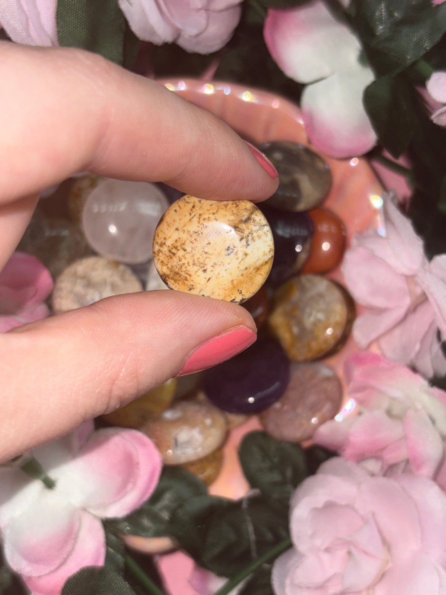 Picture Jasper Mini Palm Stone