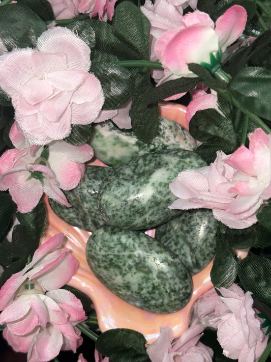 Tree Agate Palm Stone From India