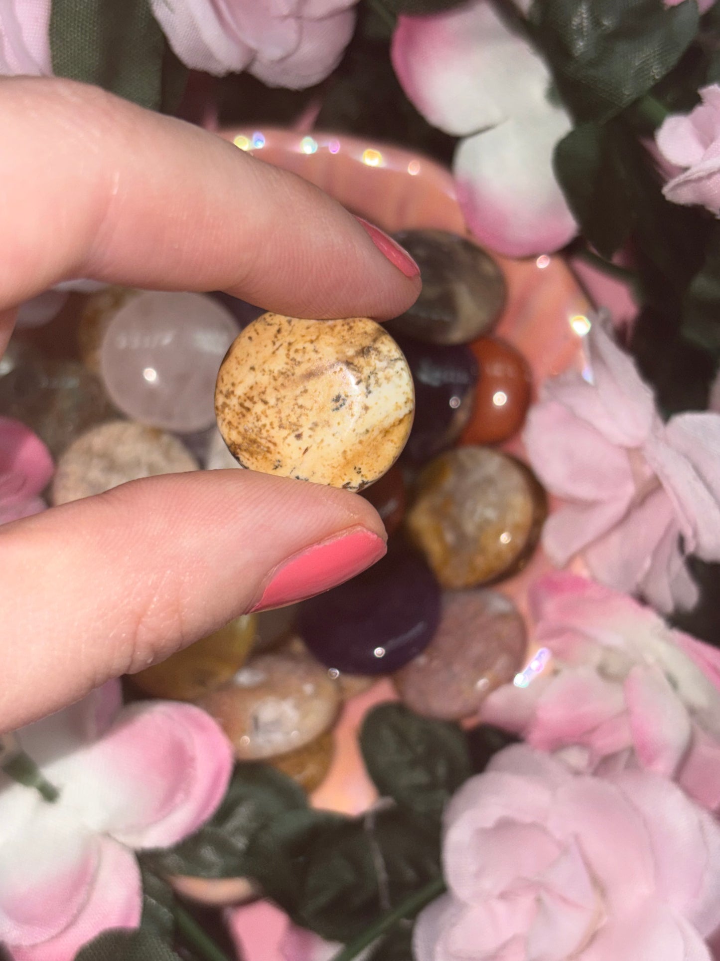 Picture Jasper Mini Palm Stone