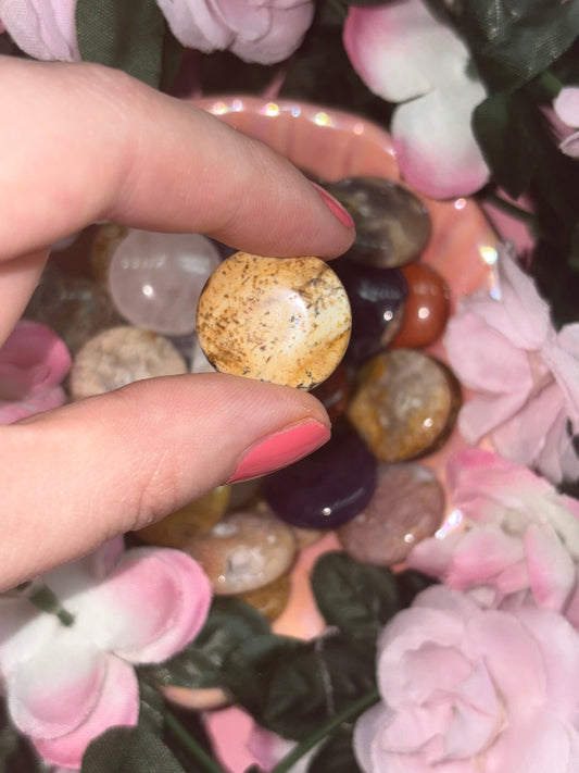 Picture Jasper Mini Palm Stone